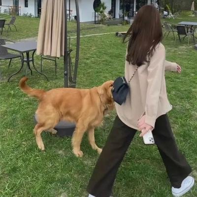 拳王